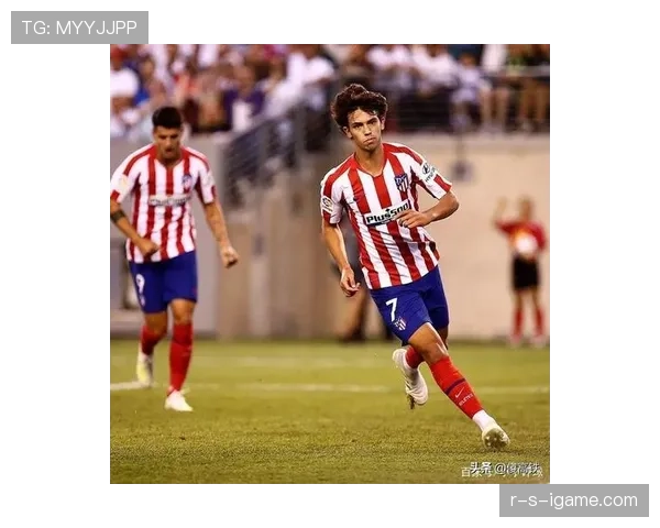 菲利克斯金童奖含金量解析